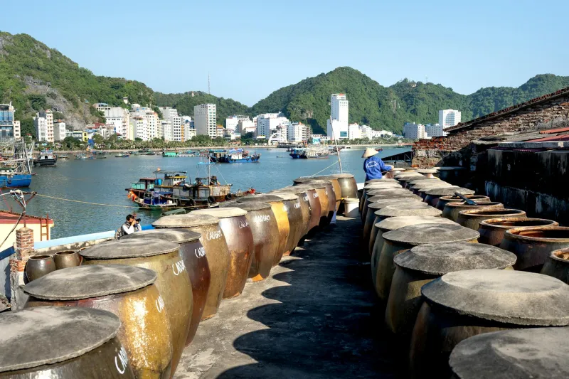 The Ancient Salt Fish That Put Ketchup to Shame — and Why Top Chefs Are Bringing It Back