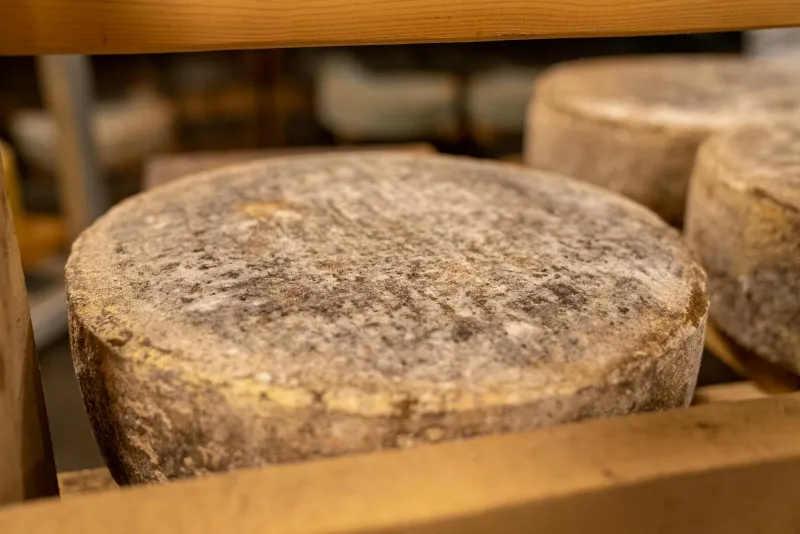 Deep South, Deep Flavor: The Limestone Cave Cheesemakers Who Put Missouri on the Map Before Anyone Noticed