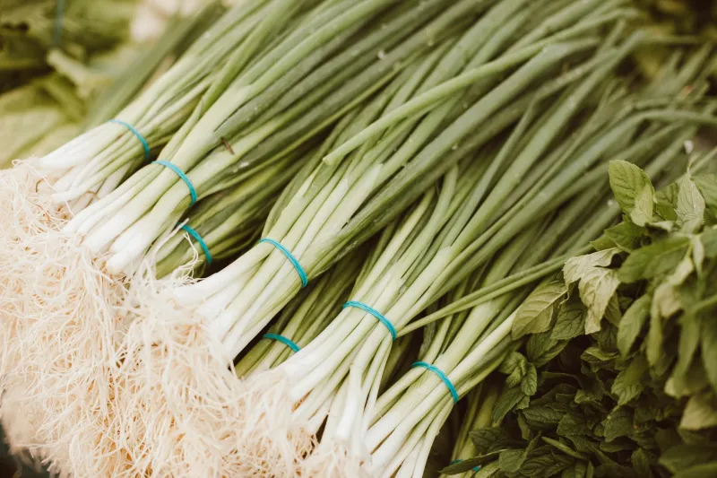 The Invisible Farmers: How Hmong Refugees Snuck 47 New Vegetables Into American Cuisine