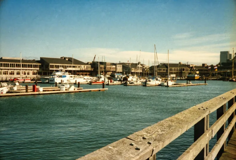 Before Sourdough Ruled the Bay: The Italian Fishing Fleet That Actually Built San Francisco's Food Scene