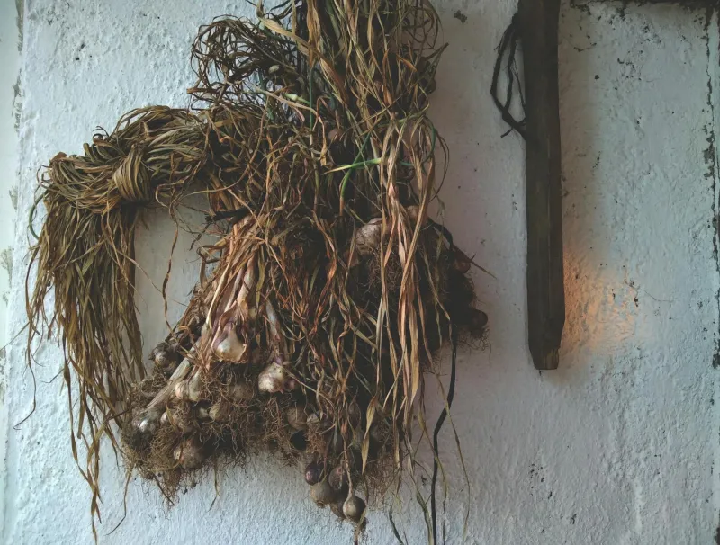 Before Refrigerators Existed, Pennsylvania Dutch Farmers Had Already Solved the Winter Food Problem