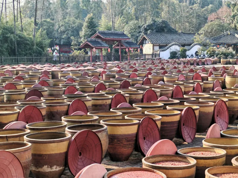 Prairie Kimchi: The German Settlers Who Invented Korean Fermentation Without Ever Leaving Kansas
