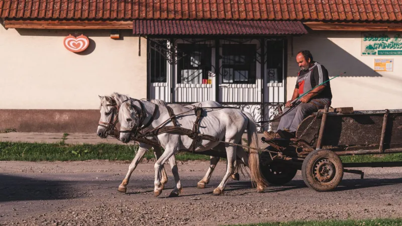 Neither Rain Nor Snow Nor Empty Pantry: The Postal Routes That Rewired What Farm Families Ate